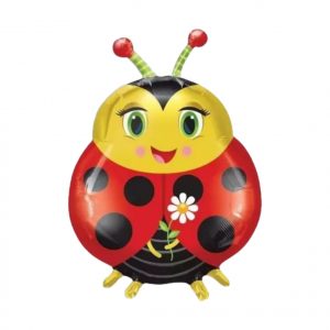 Globo Catarina