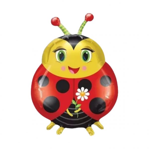 Globo Catarina