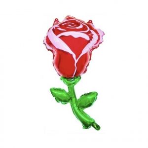 Globo Rosa
